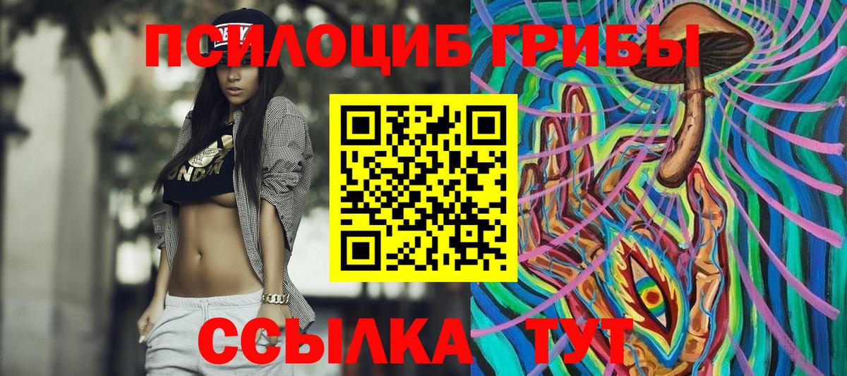 Псилоцибиновые грибы Psilocybe Орск