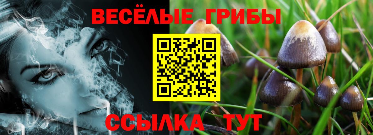 Псилоцибиновые грибы мицелий  Псилоцибиновые грибы Cubensis  Орск  Вход с VPN 